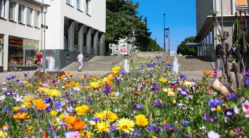 Heute beginnt der #Frühling - zumindest meteorologisch. Bald sieht die #Kasseler Innenstadt wieder bunter aus.(tro) https://t.co/S4Fw1lZu6F