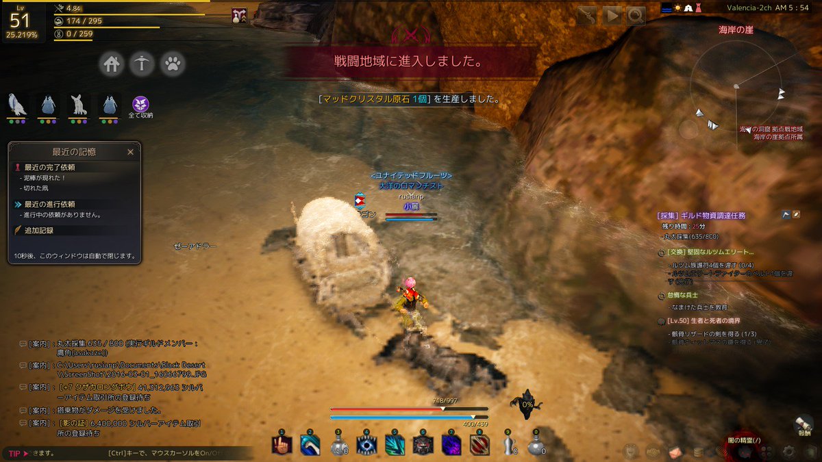 黒い砂漠水泳部