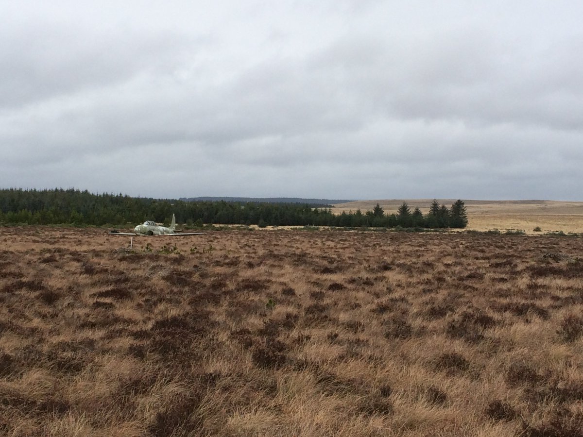 OpenSpaceGB's tweet image. Its funny what you find when clearing regrowth pine on a moss #spadeadam @NaturalEngland @ForestryCommEng