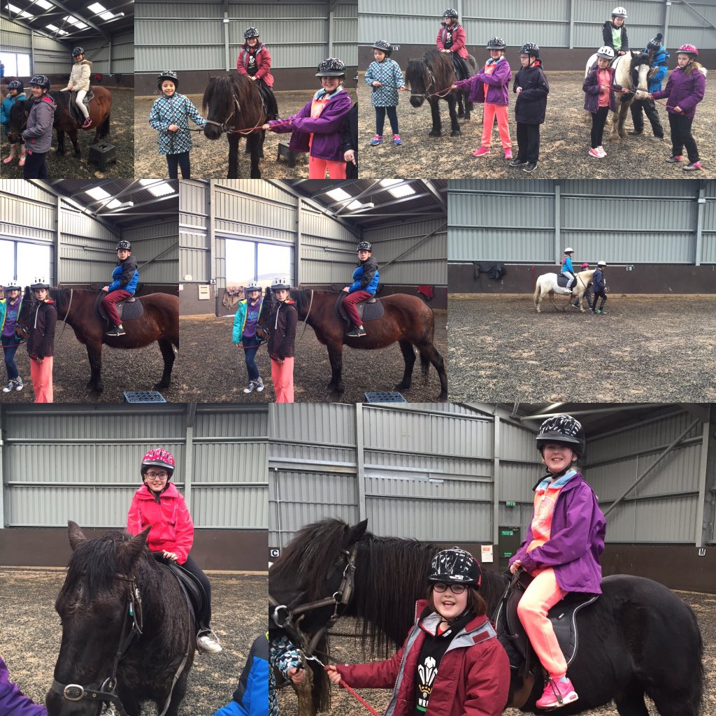 StJosPrimary's tweet photo. This mornings activities 👍🏼🐴 #Llangrannog #merlota #rhaffauuchel https://t.co/fmQlESrK4V
