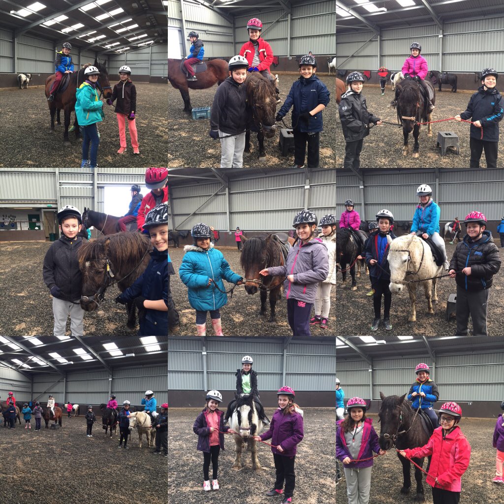 StJosPrimary's tweet photo. This mornings activities 👍🏼🐴 #Llangrannog #merlota #rhaffauuchel https://t.co/fmQlESrK4V