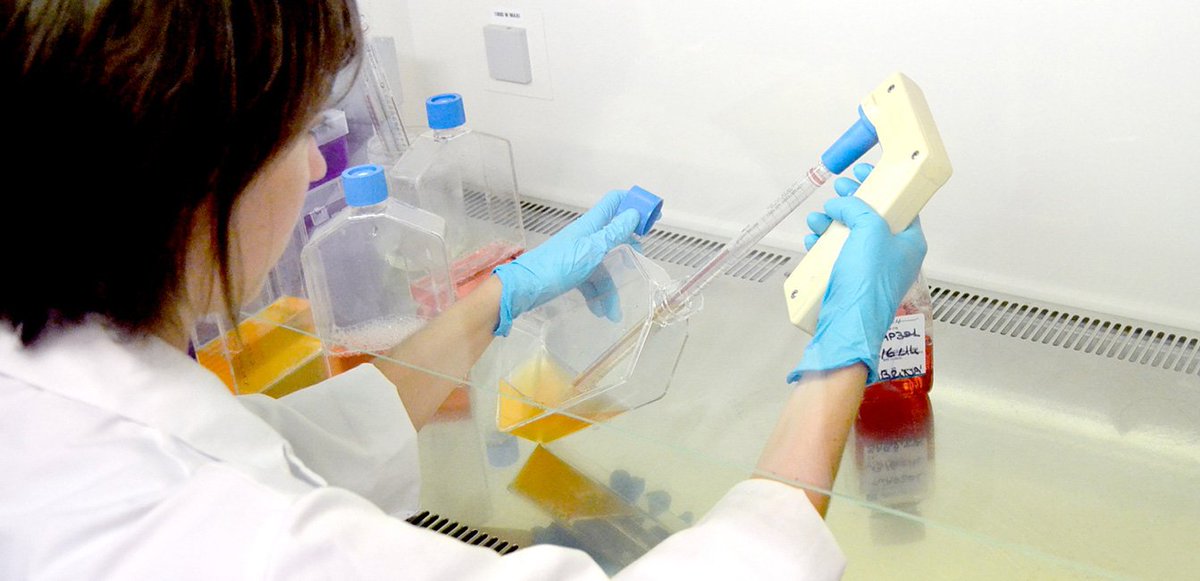 NantesUniv's tweet photo. #SuccessStory Une start-up nantaise future leader français de l’immunothérapie
https://t.co/Fu5zT3Stit https://t.co/m1AgqVy3TS