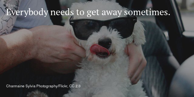 qzcards's tweet photo. TAKE A BREAK https://t.co/mfwQ0avxvd https://t.co/87ifdFfb76