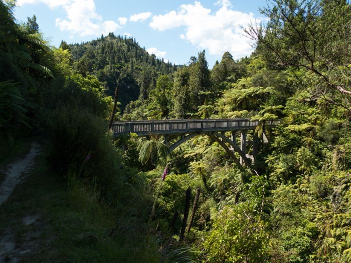 digbyturtle's tweet photo. Le #BridgeToNowhere près de la #Whanganui chez @PureNewZealand ne mène effectivement à nulle part #BattlePhoto P6 https://t.co/VUJf9TRSRP