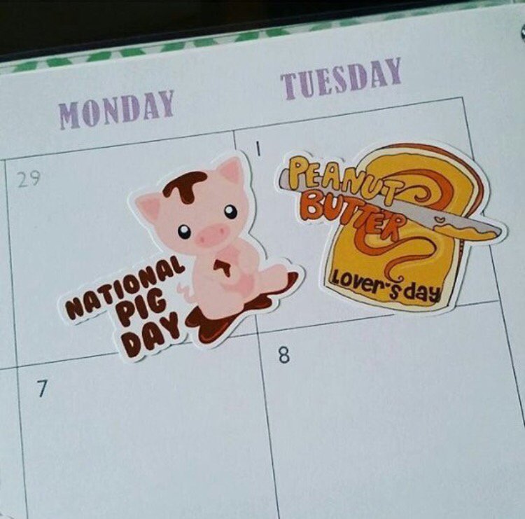 VidNoteUK's tweet photo. Happy National Pig Day and Peanut Butter Lover’s Day!! #cassmsi #nationalpigday https://t.co/PxEouQ4FPX
