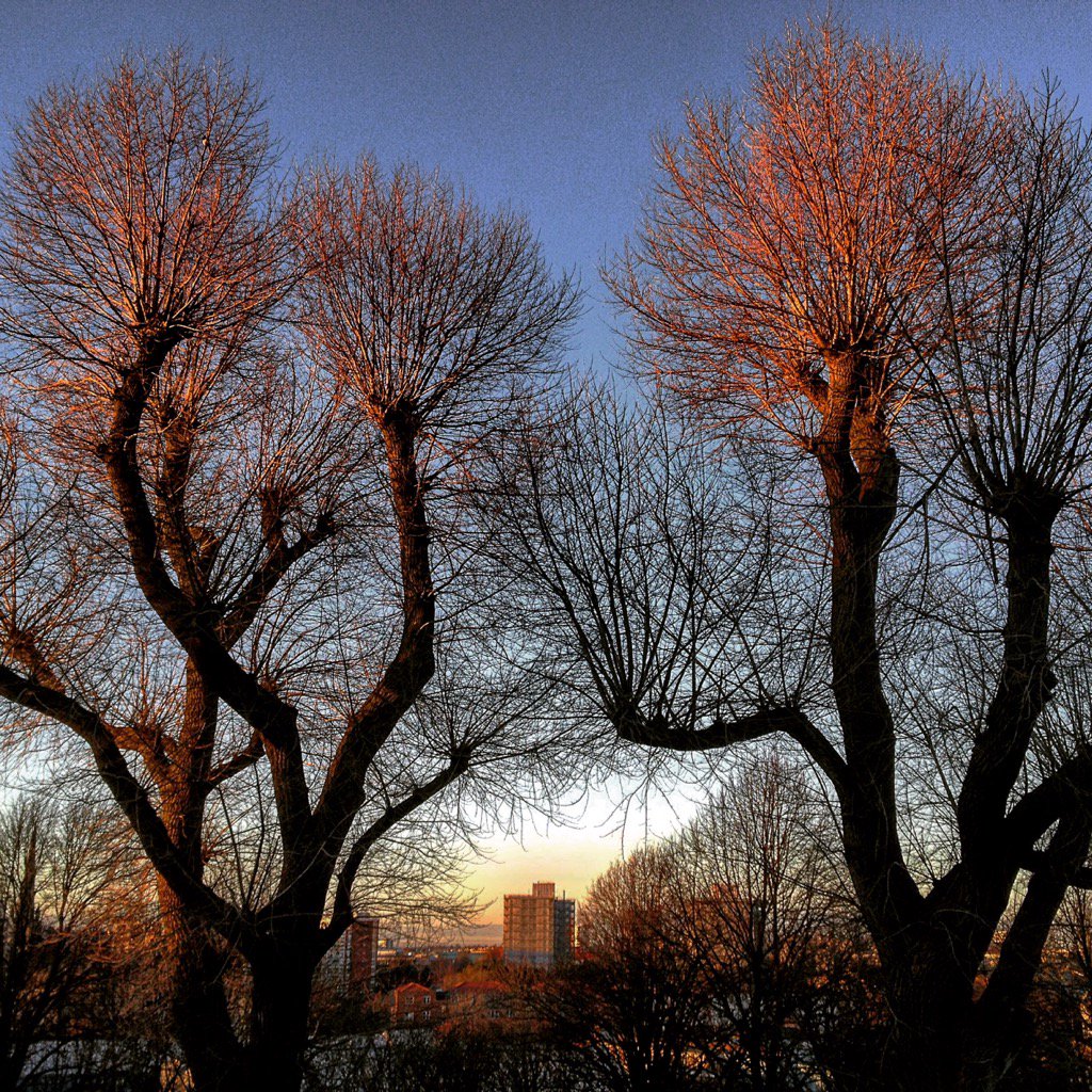 Sunset, Victoria park.