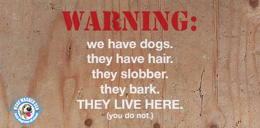 Public Service Announcement! #furrychildren #dogs #getoverit