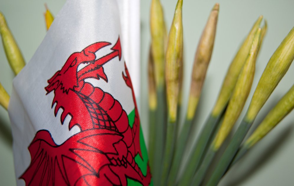 DischroCreative's tweet photo. Gobeithio cewch chwi oll ddydd gŵyl Dewi ffantastig. #DyddGwylDewiHapus https://t.co/Rw68HR0GEc