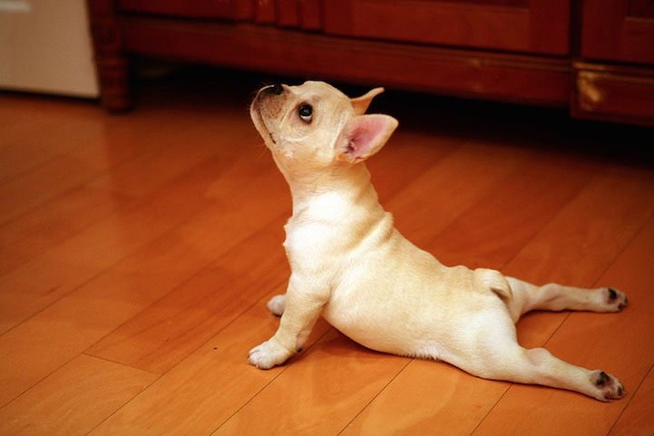 Mamá, ya no puedo hacer más flexiones.