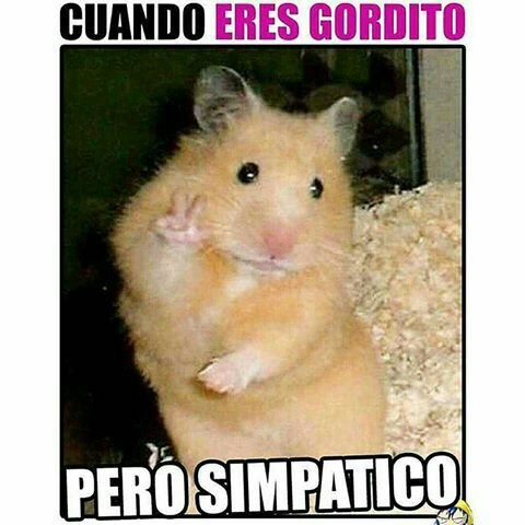 Sabes que eres adorable.