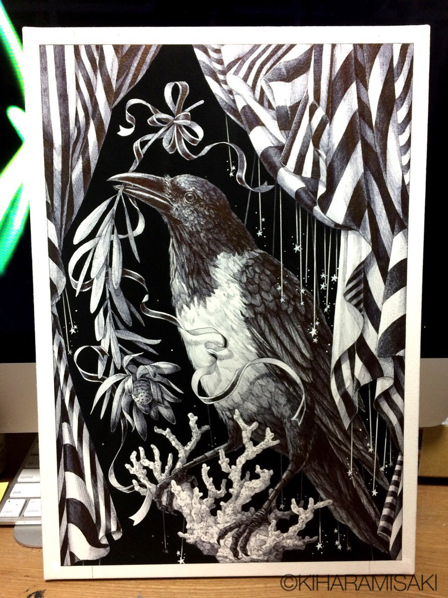 ペットショップでムナジロカラスを見て、欲しくてたまらなくなったので描いた! 