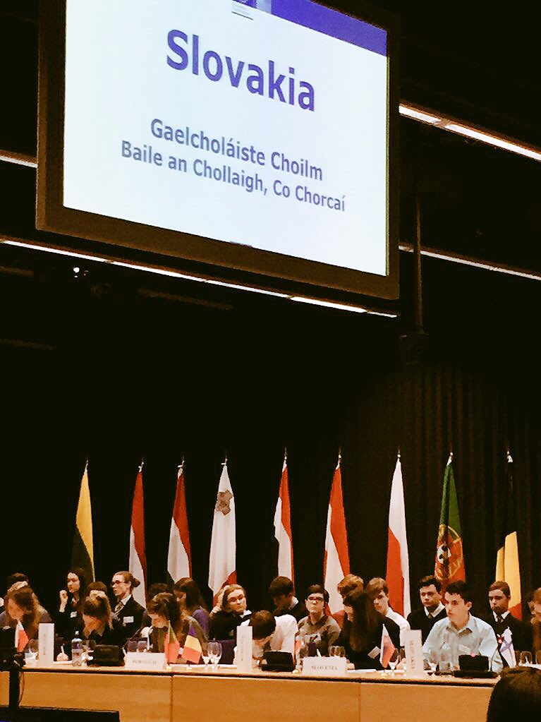CCDebatingClub's tweet photo. Colàiste Choilm TY students representing the country of Slovakia at today's #ModelCouncil debate in Dublin Castle. https://t.co/stpSiCQgOi