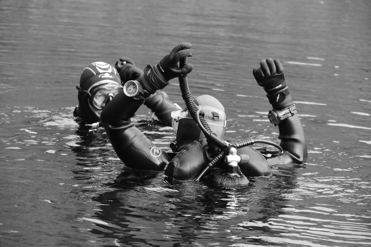Snakesub tweet picture