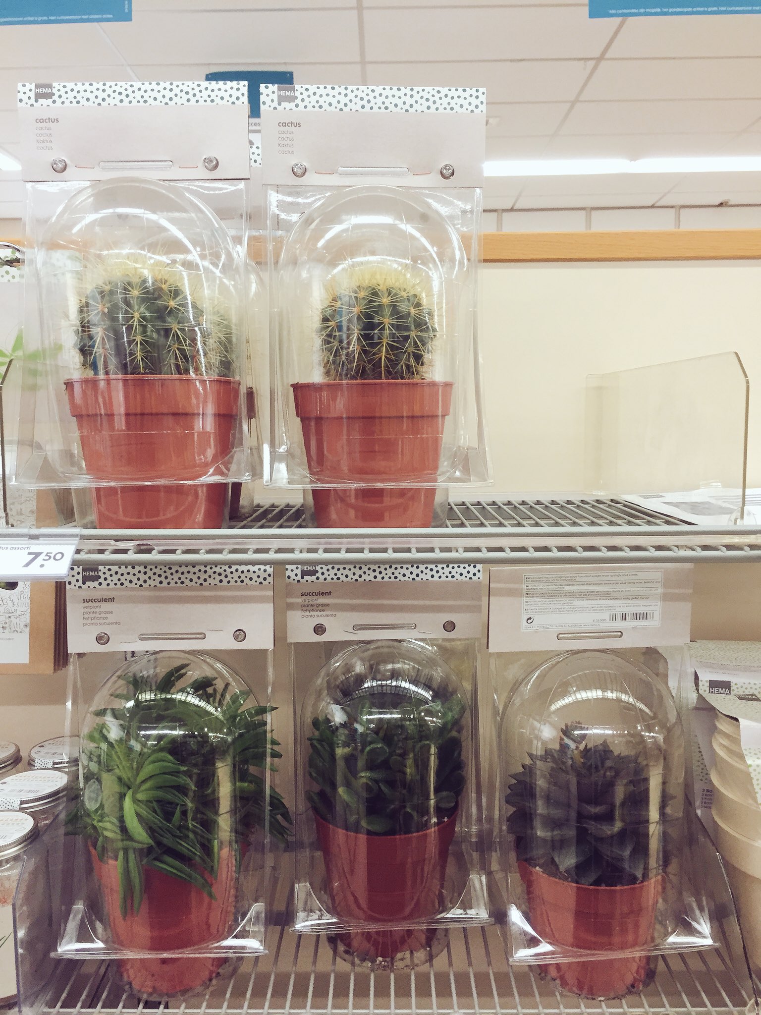 tank suspensie Tussendoortje NTRLK on Twitter: "Real life nature gespot @HEMA #succulent #cactus #new  #consumer #inspiration #realexperience #daretobegin #adventure  https://t.co/7NSpENIa8u" / Twitter