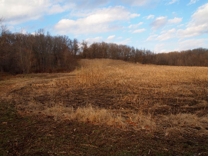 Whitetail Land Sales (WhitetailLand) Twitter