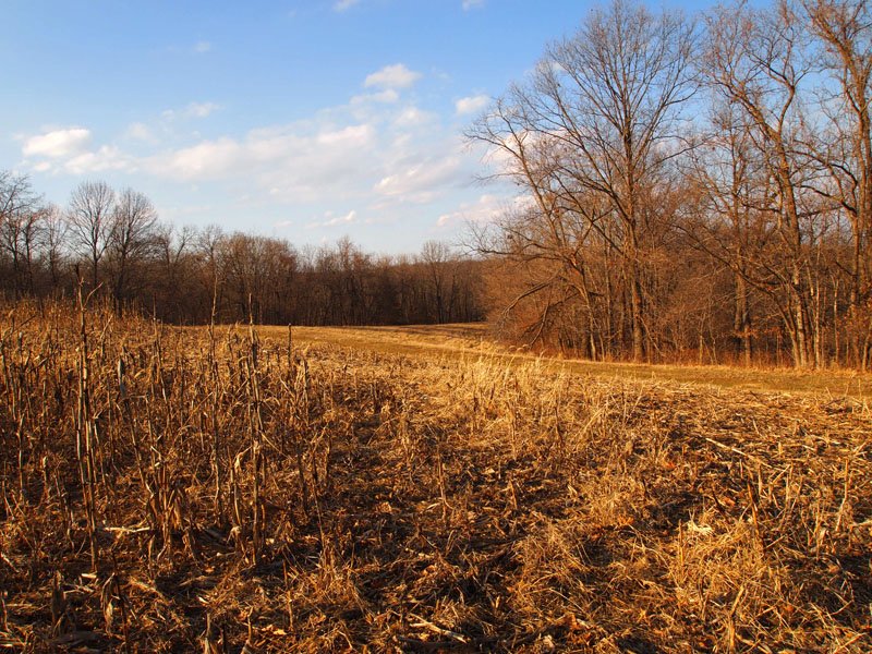 Whitetail Land Sales (WhitetailLand) Twitter