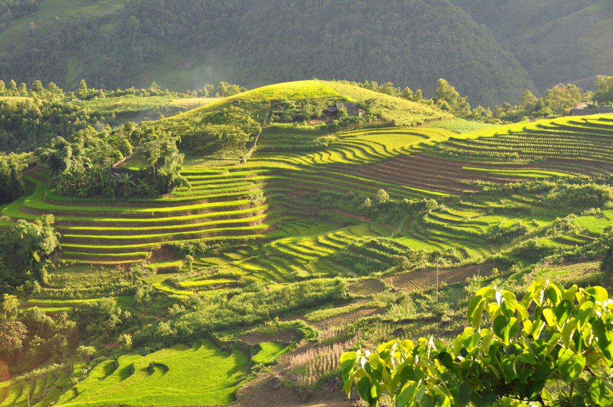 Cheflovesfish5's tweet photo. I can't believe in my eyes, why Sapa is so charming, lovely and unique?
#sapatoursfromhanoi #sapacheaptours #socute https://t.co/ZIq6YahuOz
