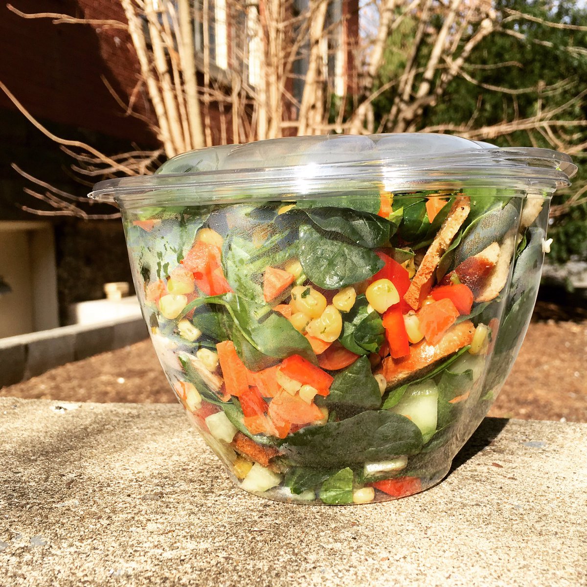 fiddleheadPSU's tweet photo. Let's eat salad in the sun and pretend winter's over. https://t.co/4vjd3r1PnS