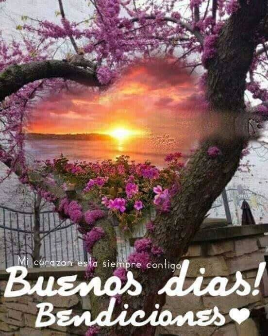 thania76's tweet photo. @LRossiAutor https://t.co/BQru6446KE