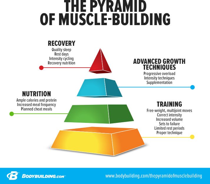 Bodybuildingcom's tweet photo. You've seen the food pyramid—now meet the muscle-building pyramid! https://t.co/mdwyKotbKu https://t.co/ddjaFn7g3B
