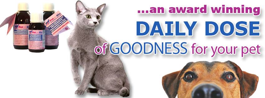 GoodVetPetGuide's tweet image. Award-winning @PetproBio maintains the internal flora &amp;amp; fauna in #dogs #cats #smallanimals petprobio.com