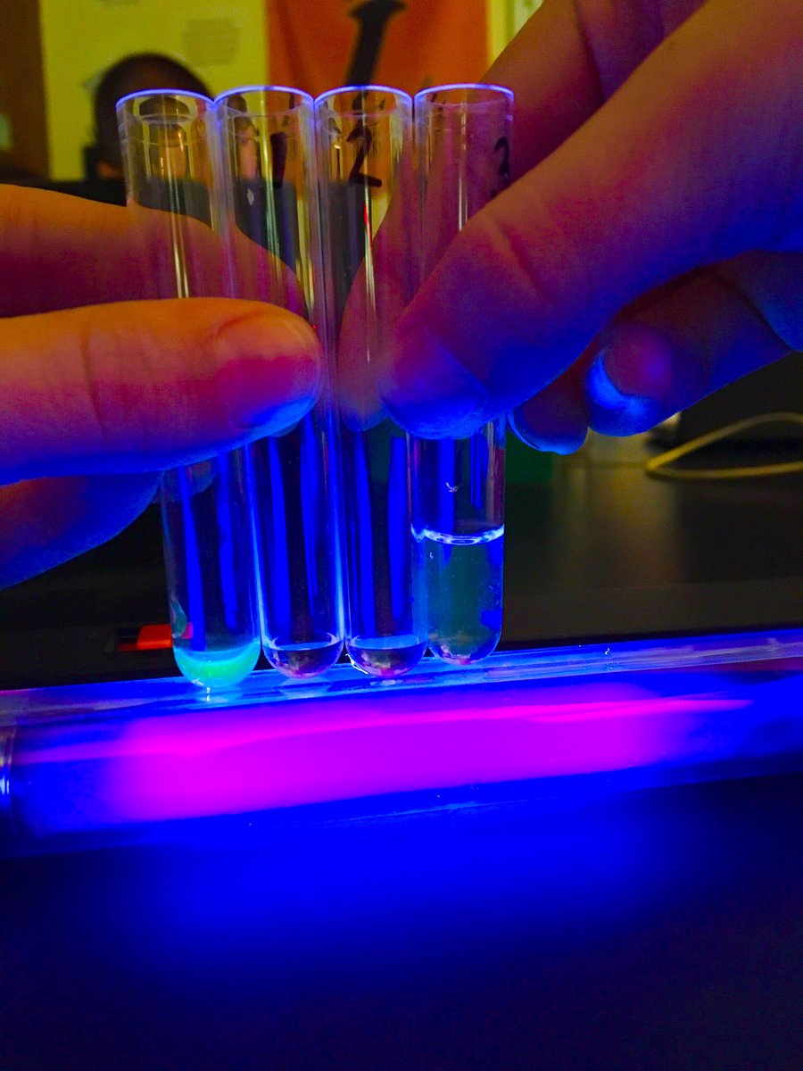 j_herrmann13's tweet photo. Green fluorescent protein purification today in Biotech was a success. @LHSTigrInCharge https://t.co/QepWpgakI7