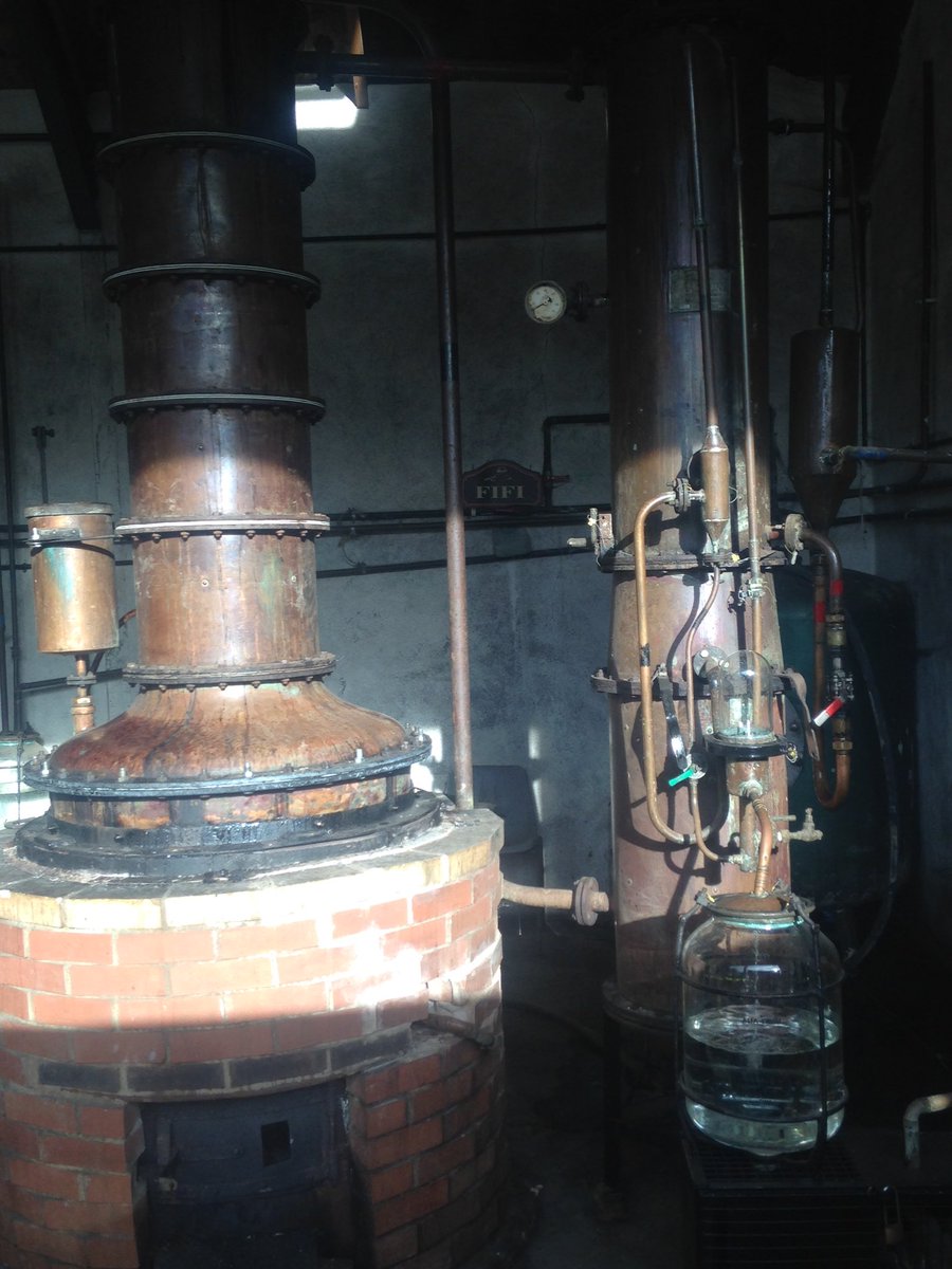 Fifi is busy distilling cider into delicious 70% Eau de Vie #shouldbenominatedforanoscar #brandy
