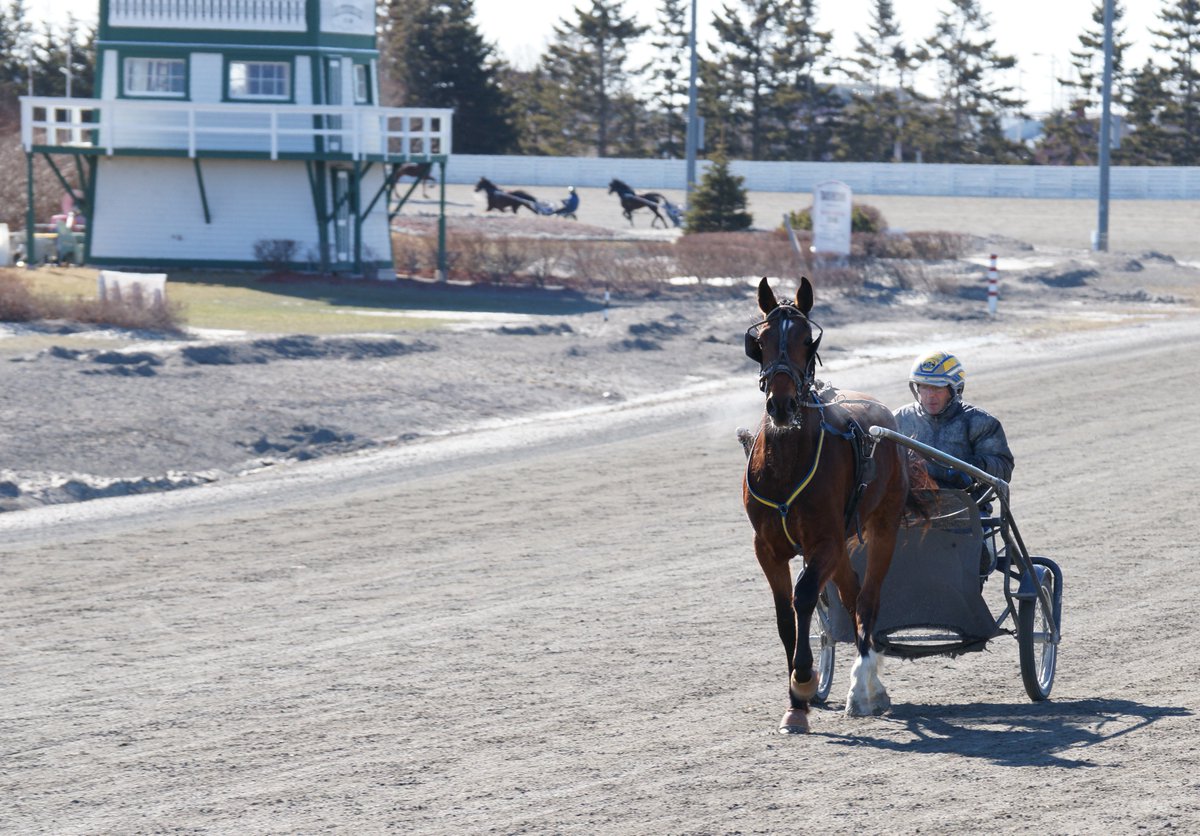 _CamChowder's tweet photo. That’s me Saturday at @Red_Shores in #Charlottetown: https://t.co/HgpQystwuq
#Camluck #Artsplace
#HarnessRacing #PEI https://t.co/4Sce9W3hfb