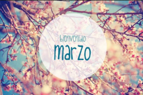 FrutiDeli's tweet photo. @FrutiDeli 
Empezamos el mes de Marzo y continuamos con nuestros #DulcesDetalles
#Sorpresas y #LosMejoresPostres https://t.co/FbTfBMRFu8