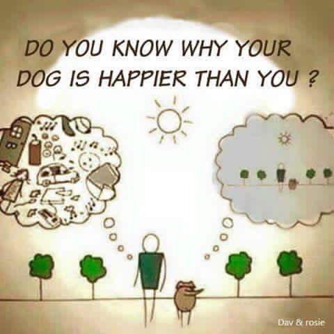MLMInsidersClub's tweet photo. Yup! #networkmarketing #MLM #MLM2016 https://t.co/9DmTbIcdSI