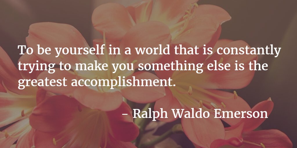 DistributionFan's tweet image. 