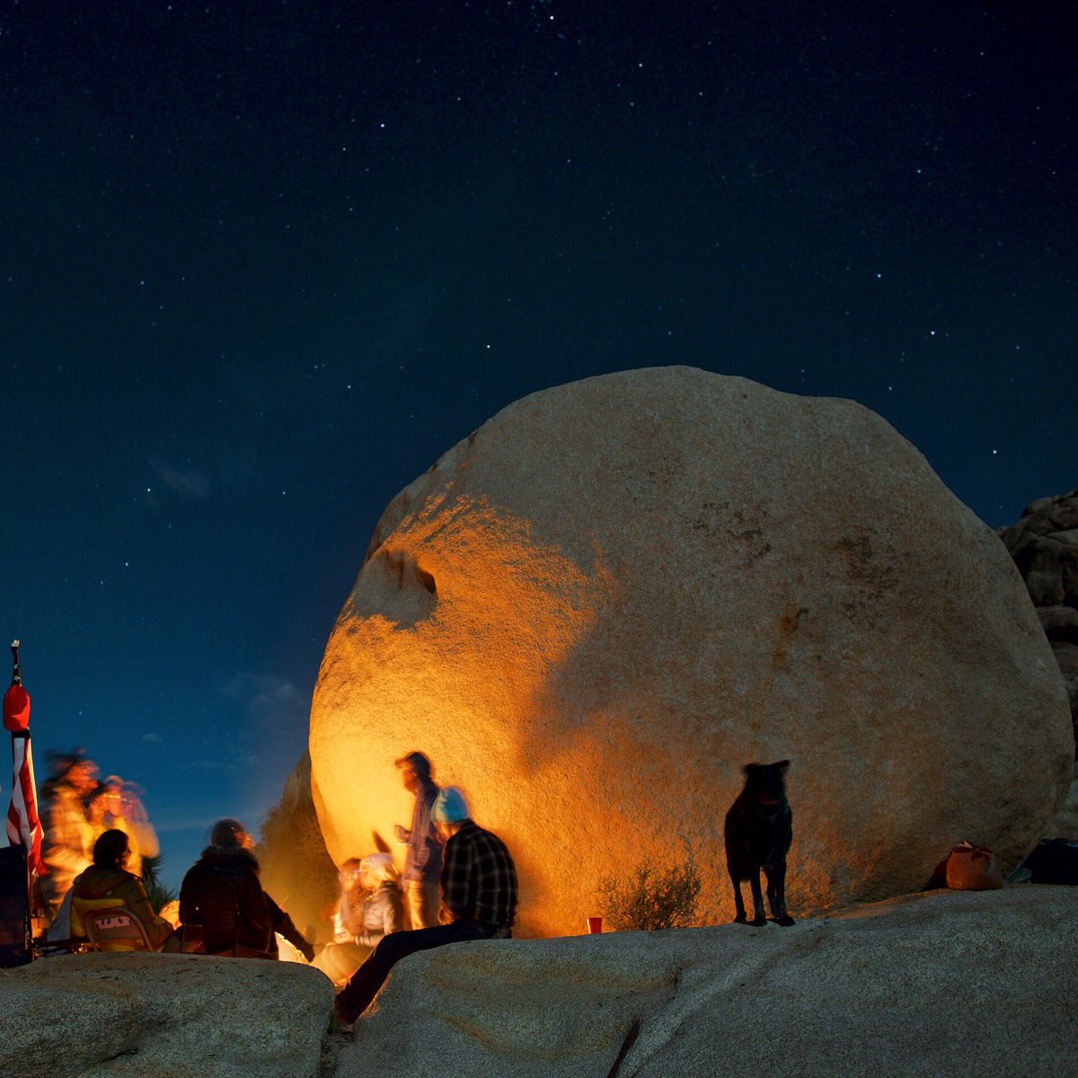 radamprieto's tweet photo. Night hanging in #JoshuaTree 

#NatGeoProof #findyourpark @JoshuaTreeNPS https://t.co/uquAJpKJTq