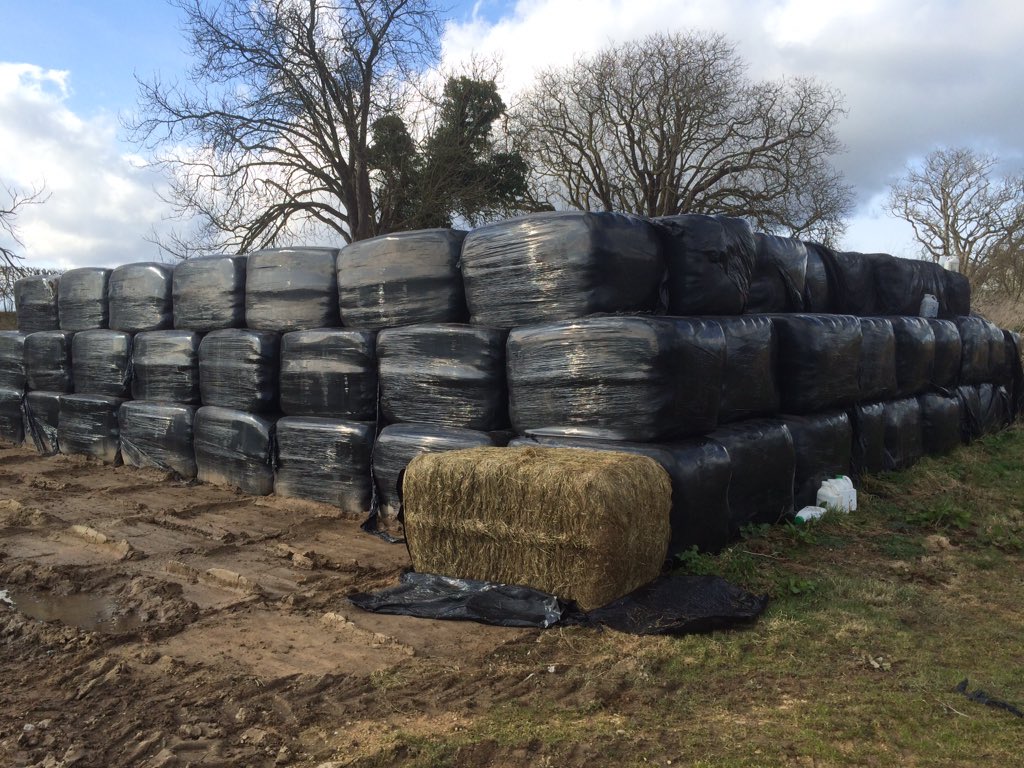 No1FarmerJake's tweet photo. Quality #hayledge available for sale surplus to requirements, pls DM for details thanks https://t.co/23hYpiLDDR
