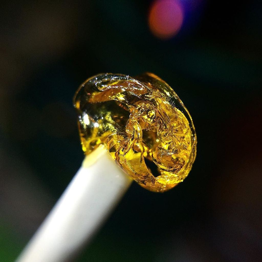 HiveCeramics's tweet photo. #Repost from IG - by @stefan_woig - #SourTangie from @ce_solutions 🔥🍊🔥🍊🔥🍊 #cesolutions #nerrl #liveresin #hiveceram… https://t.co/8L6MeW4fTi