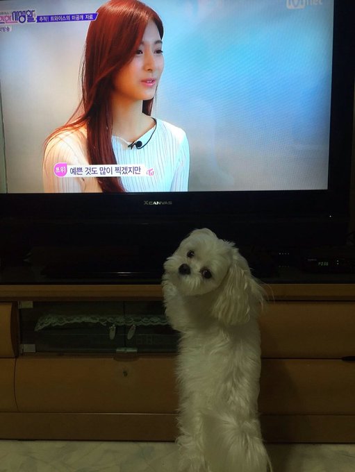 CcebBBWUcAAVyzL.jpg:small