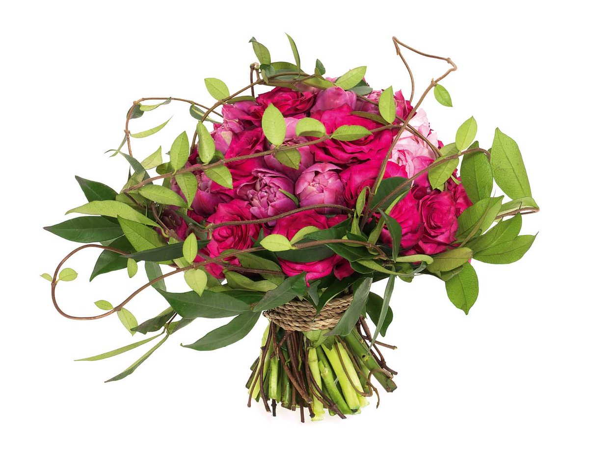 andrewrank2's tweet photo. Here are some shots to celebrate Mothers day, from India ,and for @WedFlowersMag magazine. https://t.co/CyWroSLWc0