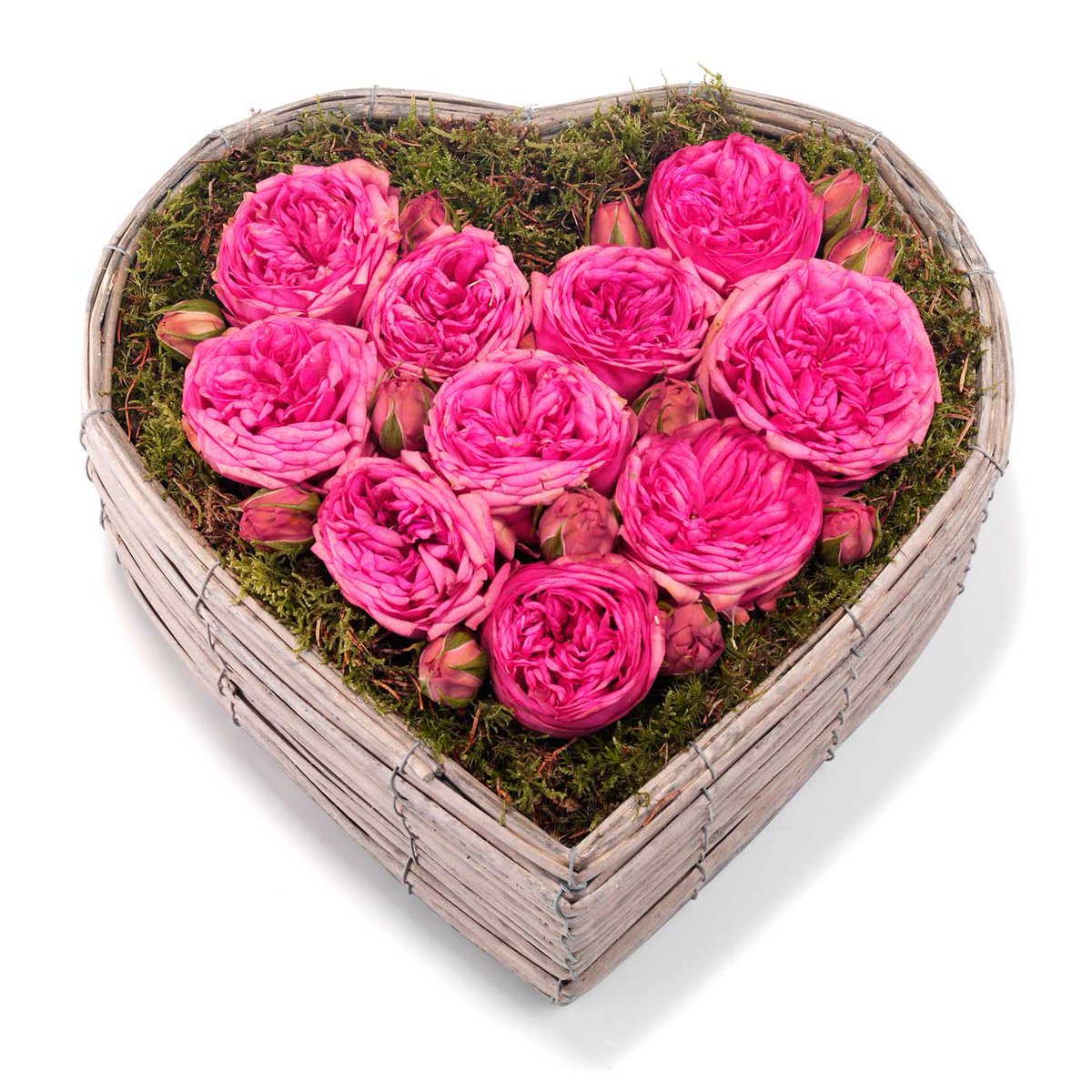 andrewrank2's tweet photo. Here are some shots to celebrate Mothers day, from India ,and for @WedFlowersMag magazine. https://t.co/CyWroSLWc0