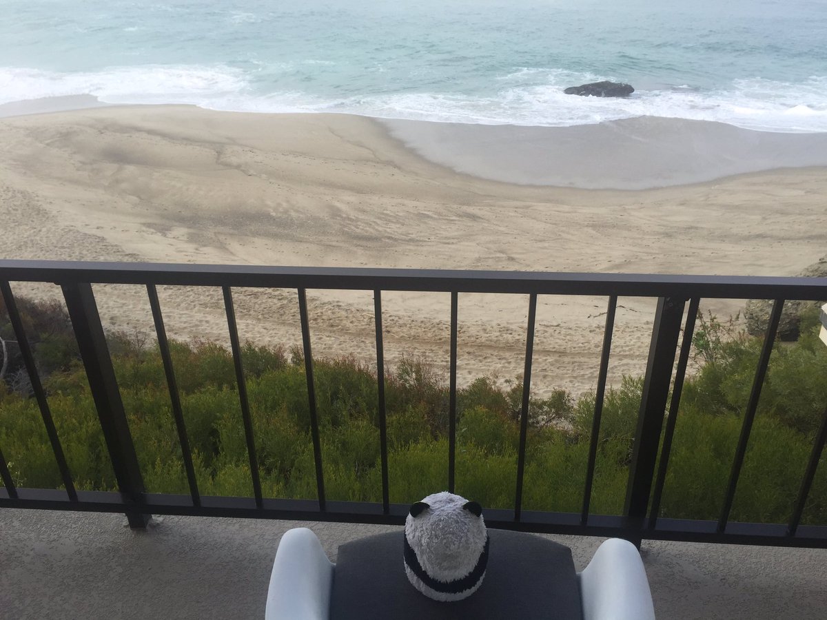 MrPandaJPanda's tweet photo. Nothing is more relaxing than watching & hearing the waves in Laguna Beach #zenbear #SuperTuesday 🌍🌊🐼 https://t.co/ZxpJMW5q1E