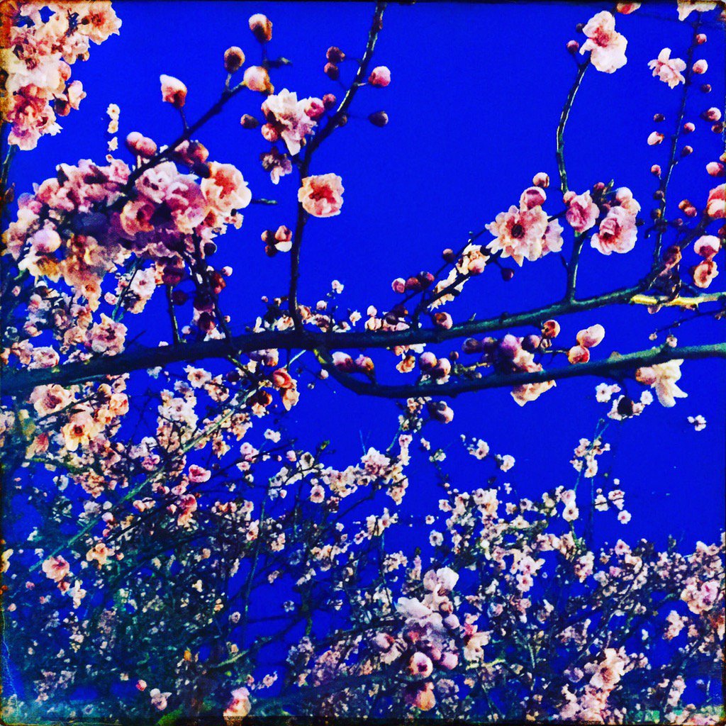 TheSeedGenie's tweet photo. Happy March! ๐ธโ๏ธ๐ธโTime to get your business hopping! #customseeds https://t.co/lmjqb2ZkQc