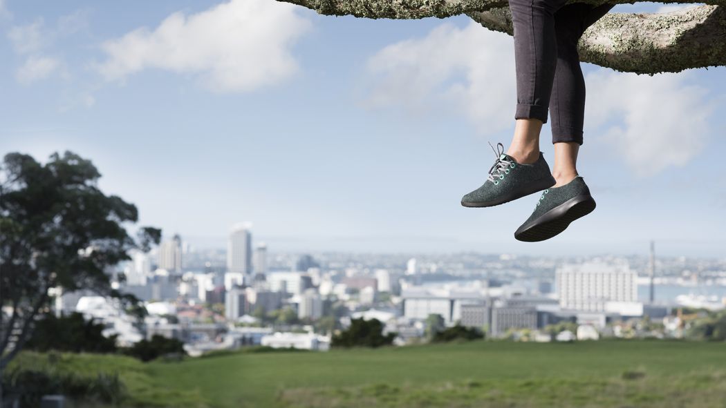 If you want pillows for your feet, meet @weareallbirds. Launched today. sf.racked.com/2016/3/1/11136…