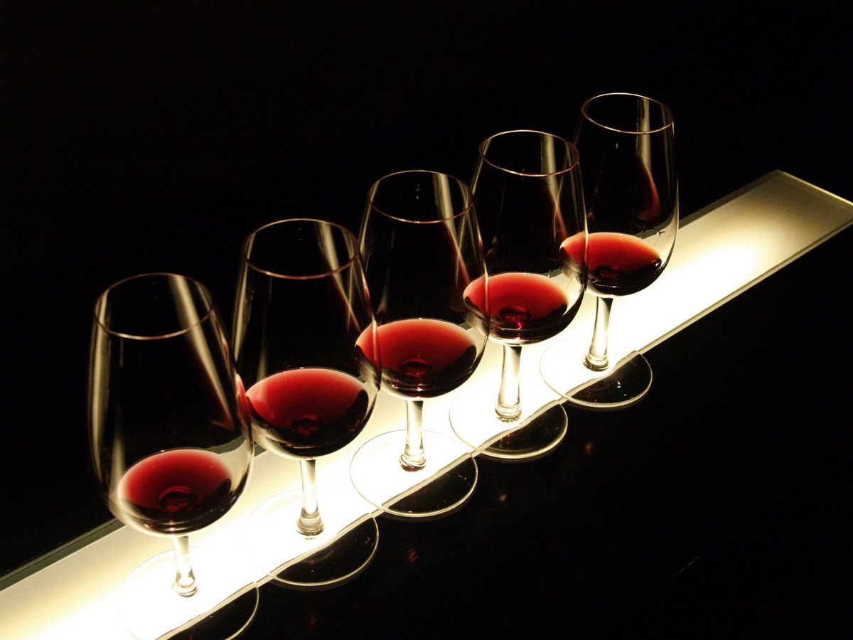 Catar es disfrutar
rutadecata.com/noticias?id=401