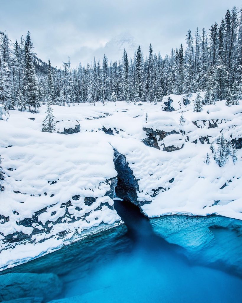 Compelling Pictures tweet media