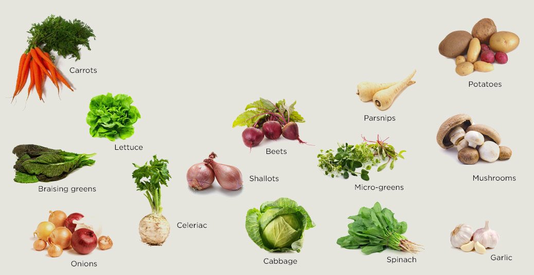 KatchkieFarm's tweet photo. It's a new month! It's March! We can't believe it. Here's what's growing at Katchkie Farm: https://t.co/Xi1Jn9Jllk https://t.co/YxdoQXCPJI