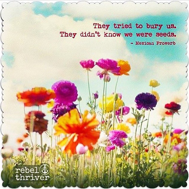 glendasmiles's tweet photo. #Flourish #BLOOM #inspirational #truenorth #MakerTribe https://t.co/ccKD277zl5