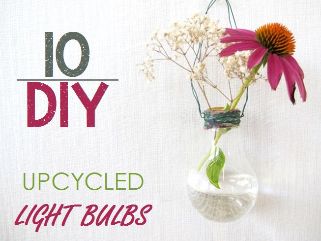 BambooInnovate's tweet photo. #DIY #upcycled #lightbulb i#vases &amp; more→https://t.co/yfVkGGztFS #homedecor https://t.co/3uwTdoYqGv
