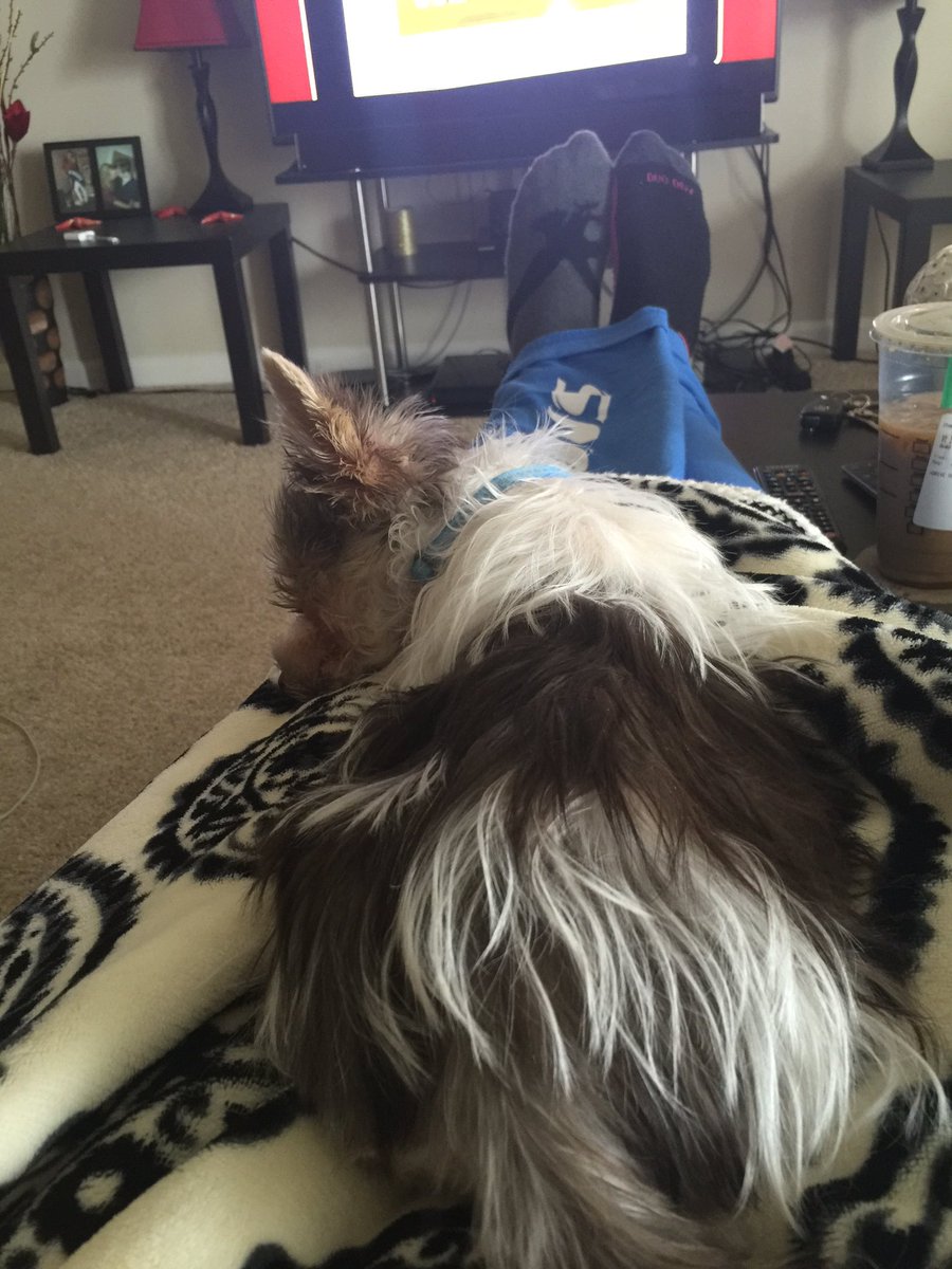 Ninja's tweet photo. Hope you guys enjoy the new YouTube video :) chance is passed out #socksdontmatch https://t.co/lhzkmbrSw7