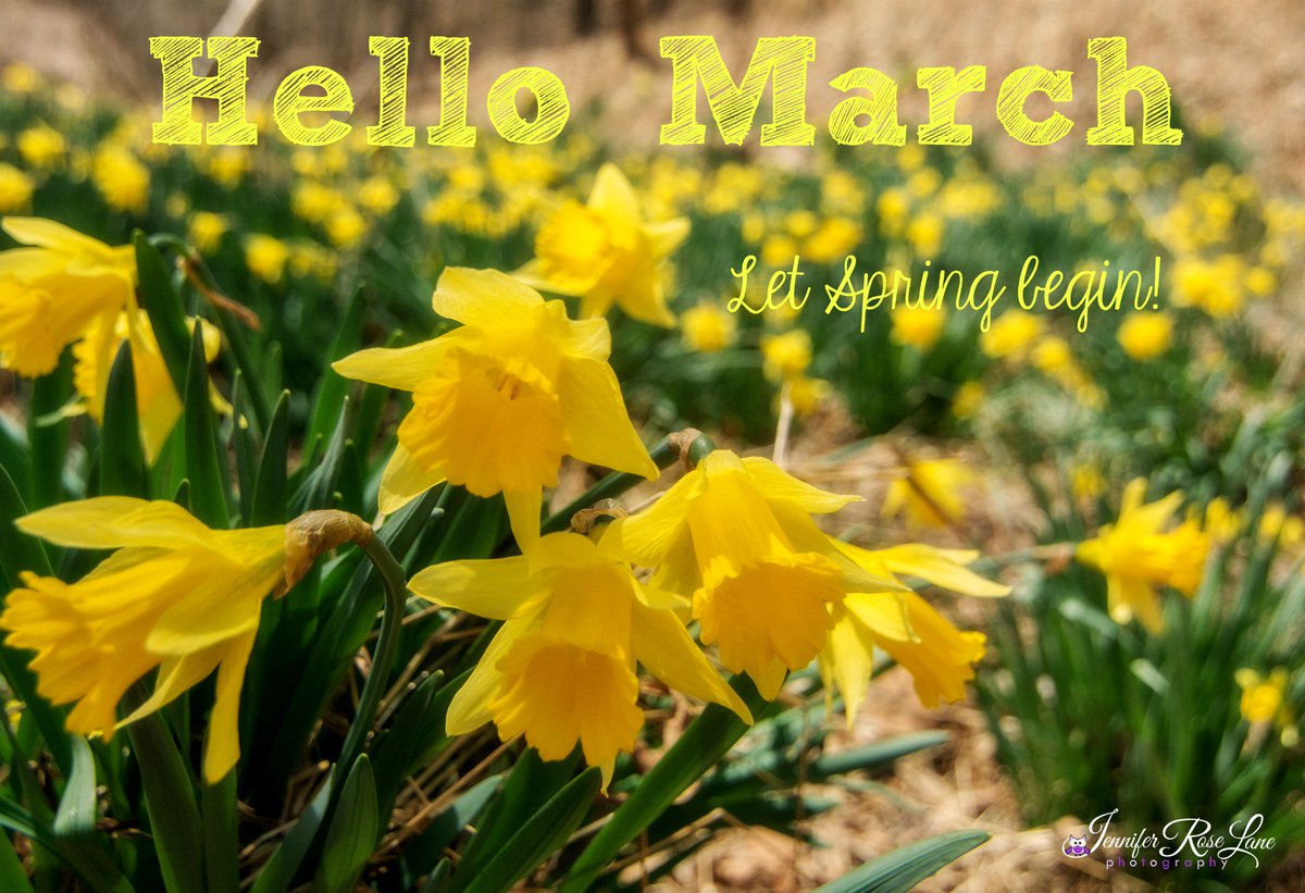 Jens_Starry_Sky's tweet photo. Happy 1st day of #March ^_^ #SpringIsAlmostHere #Weather #Seasons #TimeForFlowers #Nature #Flowers #FirstDayOfMarch https://t.co/Qmc5lKQdIt
