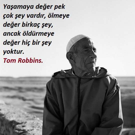 zekiergin1989's tweet photo. https://t.co/TTj0Sa93UV