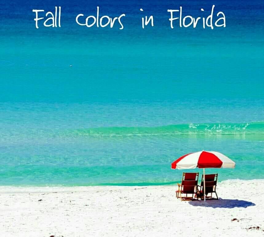 Reel_It_Up's tweet photo. #ReelitUp #LiveHardFishHard #FloridaInFall #Florida #Beach #Fishing #FishingApparel https://t.co/wf1x4j4n4l