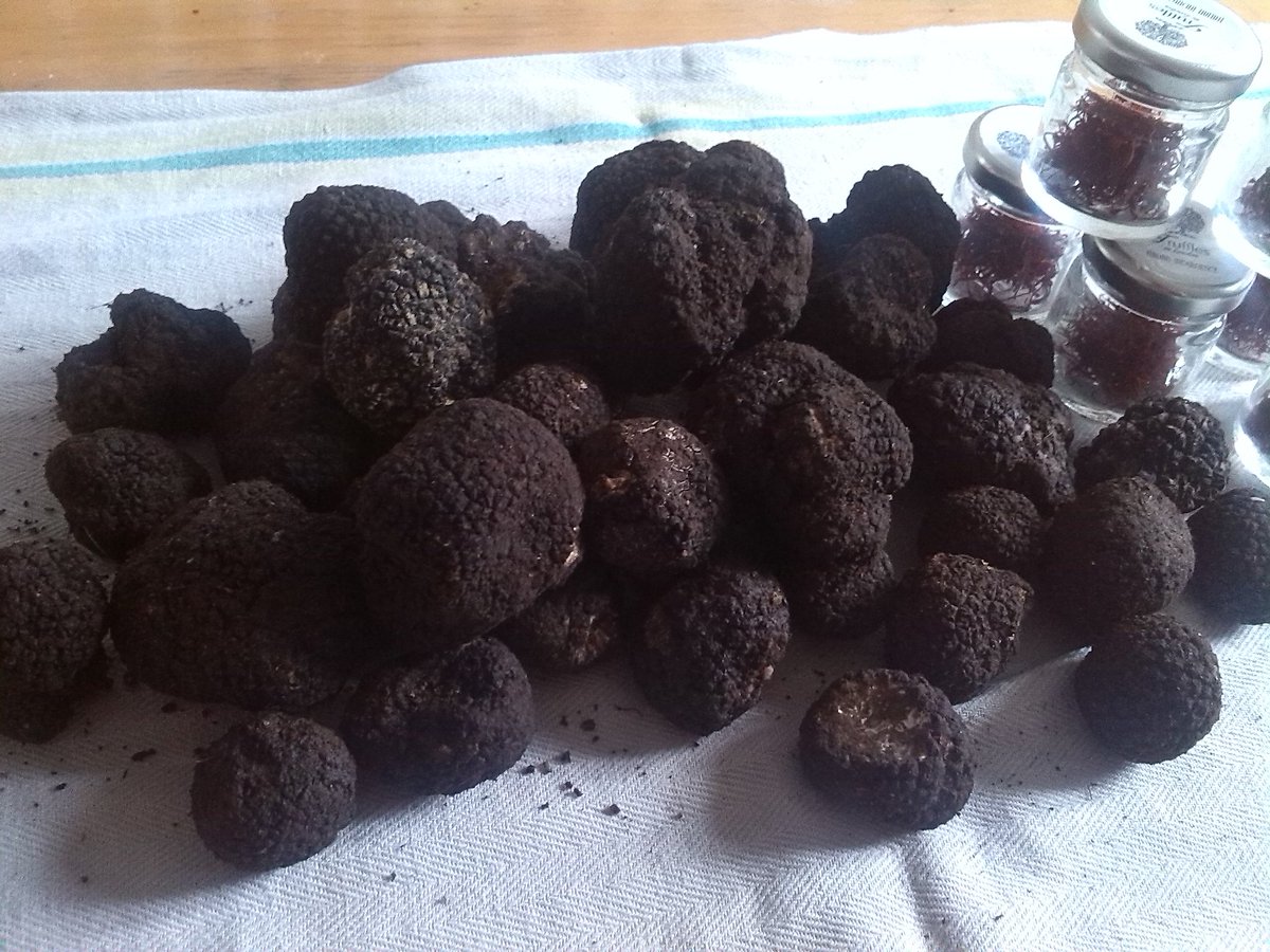 TrufflesLondon's tweet photo. #uncinatum and #saffron @TrufflesLondon #truffles #onlyItalian #truffleispassion #indulgennce #foodie #shopnow!! https://t.co/xV6BloCzuj